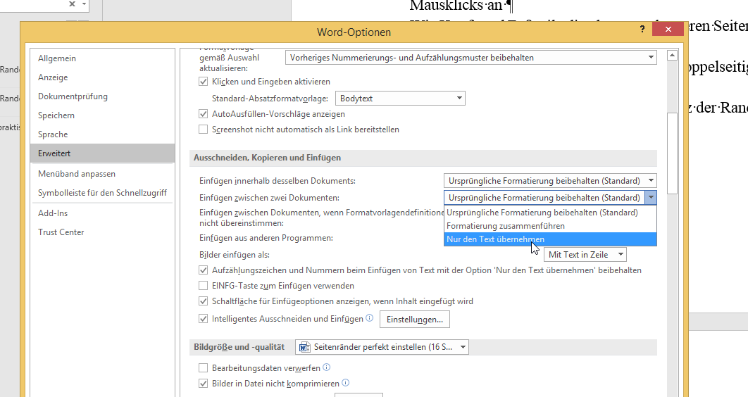 Video-Tutorial PowerPoint "Text ohne Formatierung einfügen": Screenshot "Einfüge-Optionen"