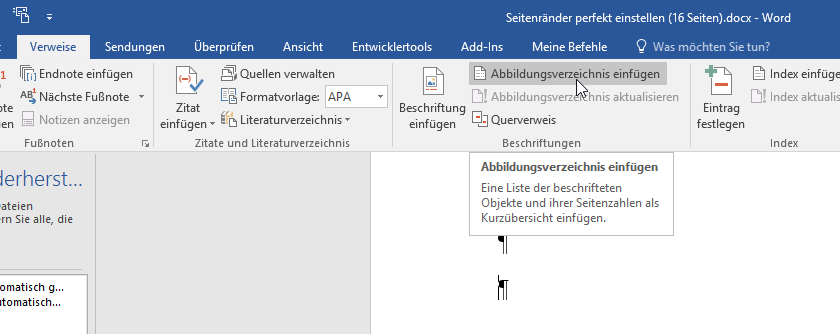 Video-Tutorial Word "Abbildungsverzeichnis": Screenshot "Abbildungsverzeichnis einfügen"