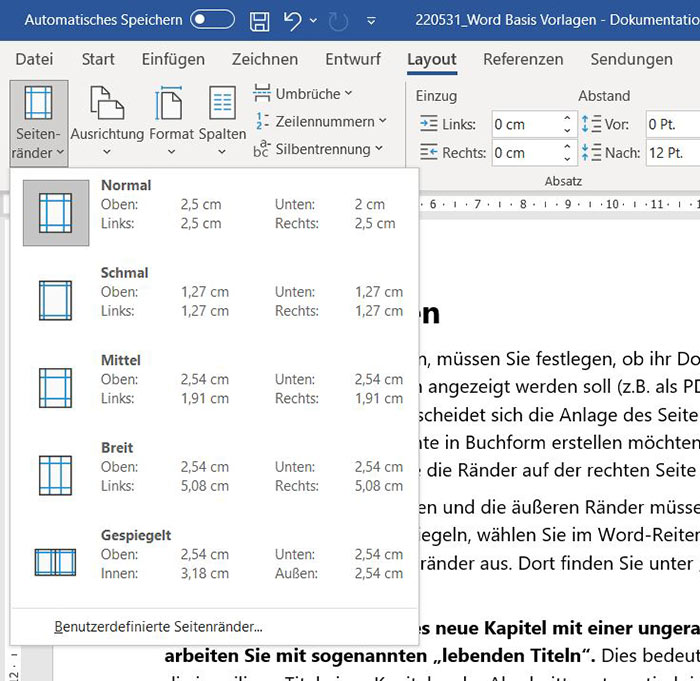 Magazinartikel Dokumentation Vorlage: Screenshot "Seitenränder"