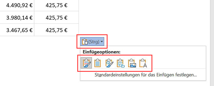 Magazinartikel Word Excel: Screenshot "Excel Einfügeoptionen Auswahl"