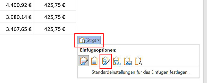 Magazinartikel Word Excel: Screenshot "Excel Einfügeoptionen"